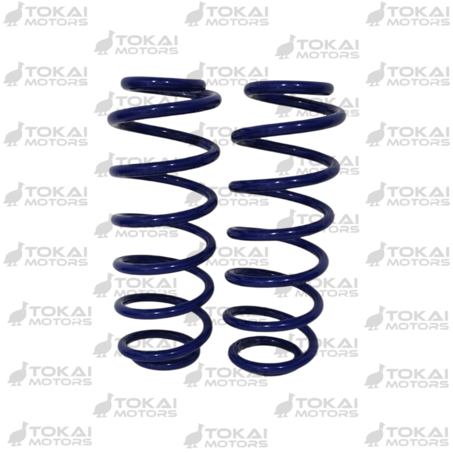 Espiral Trasero New Vitz