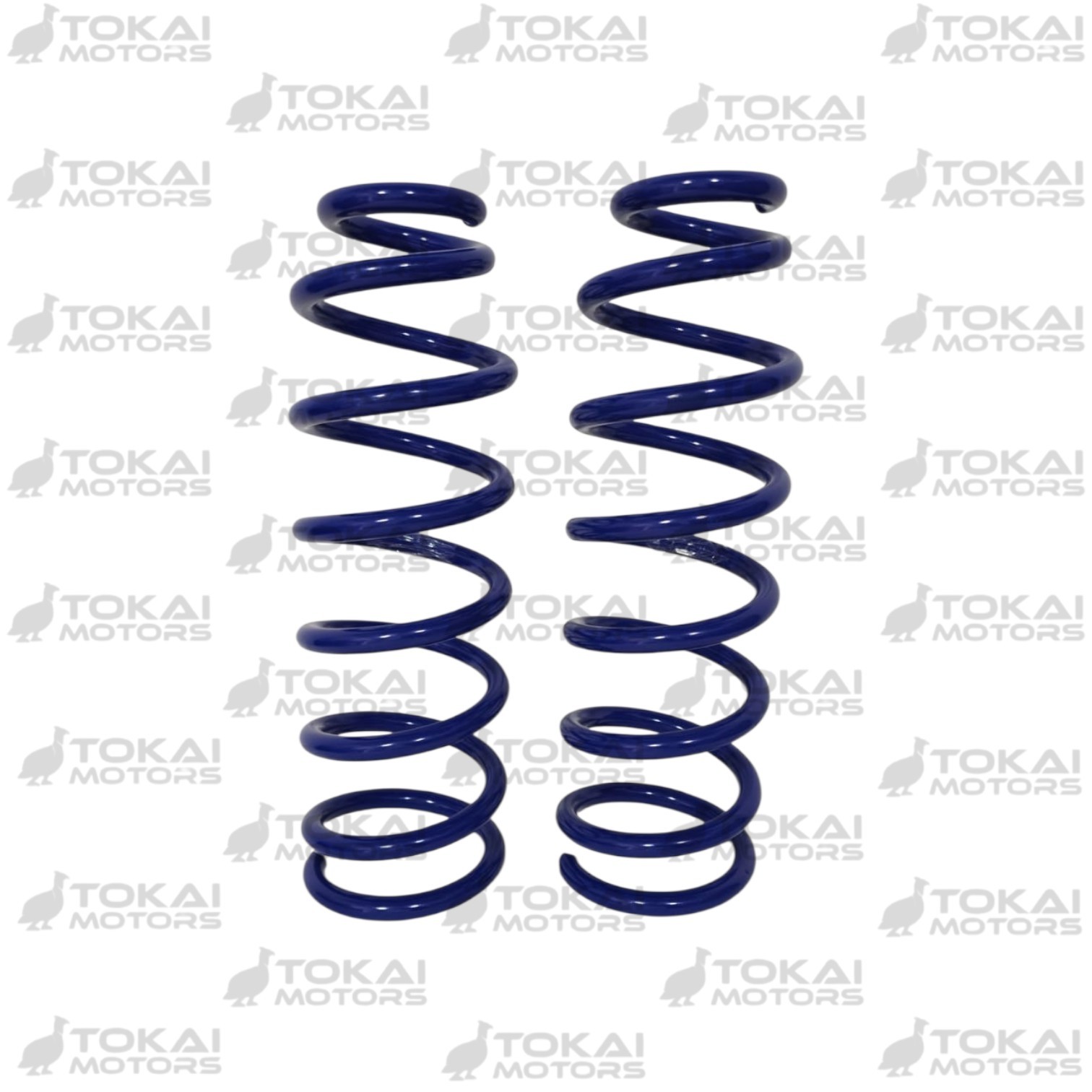 Espiral Trasero Fielder