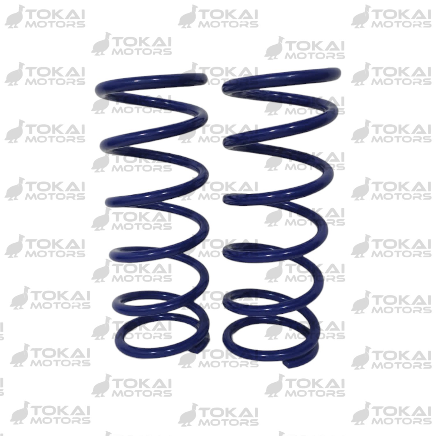 Espiral Trasero Noah